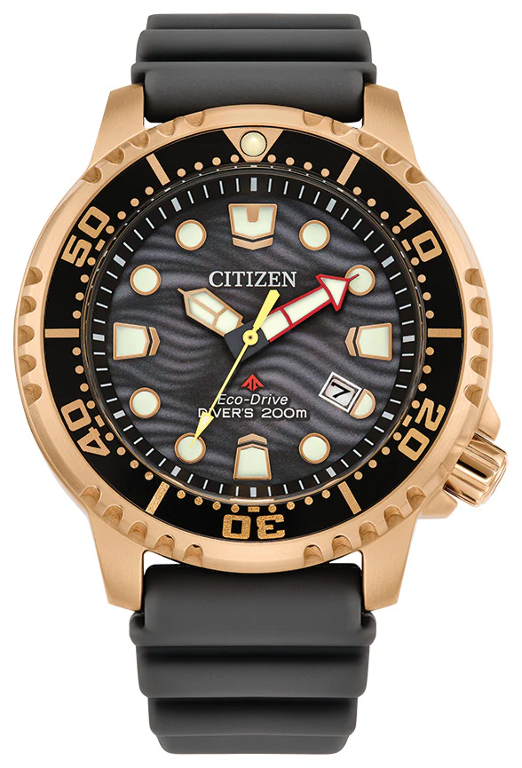 Promaster Dive | BN0163-00H