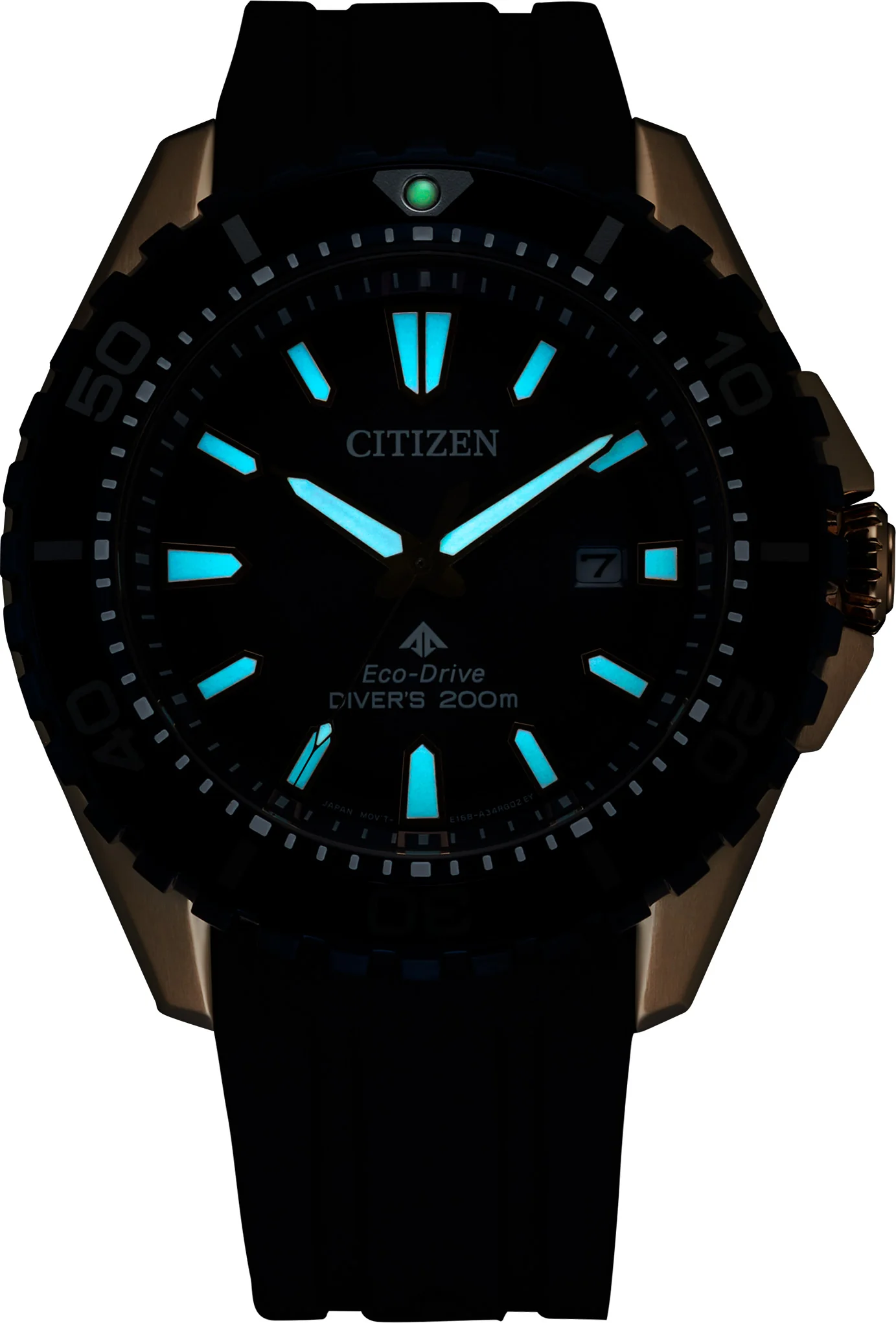 Promaster Dive | BN0196-01L - Image 4